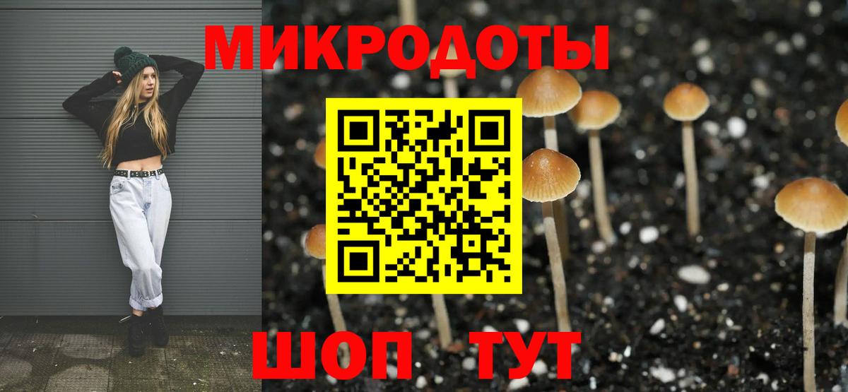 Псилоцибиновые грибы ЛСД Кириши