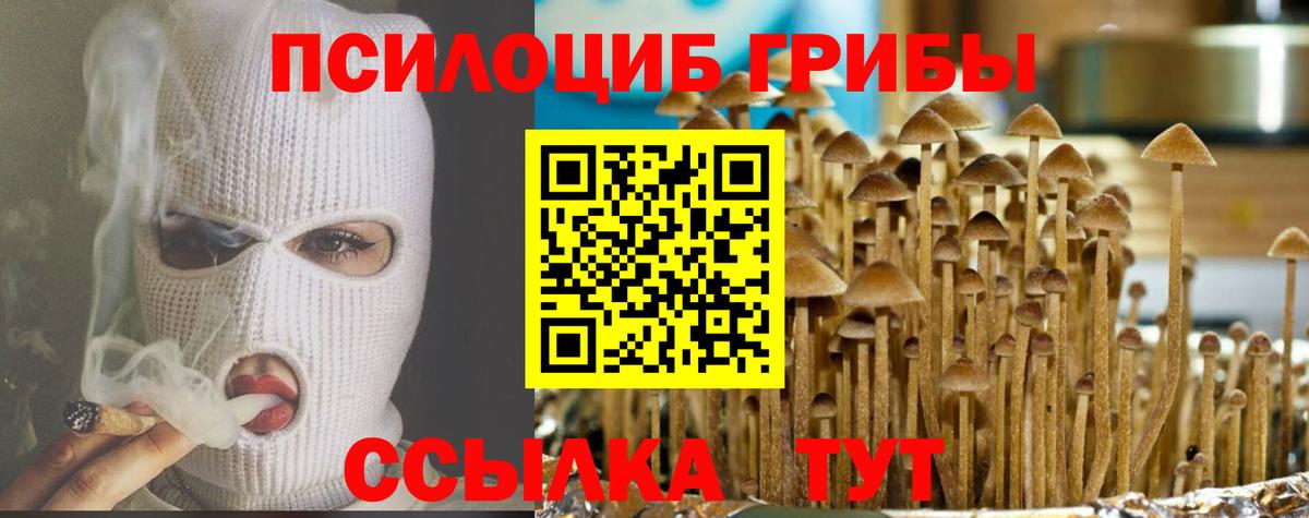 Псилоцибиновые грибы прущие грибы  Вход с VPN  Кириши 
